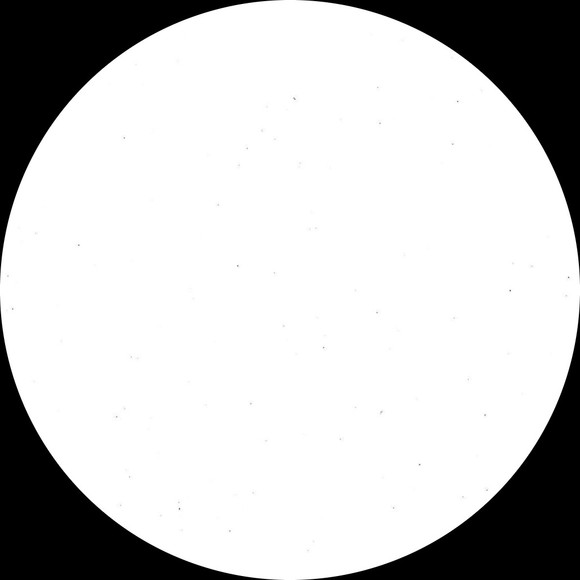 valeriewillam26